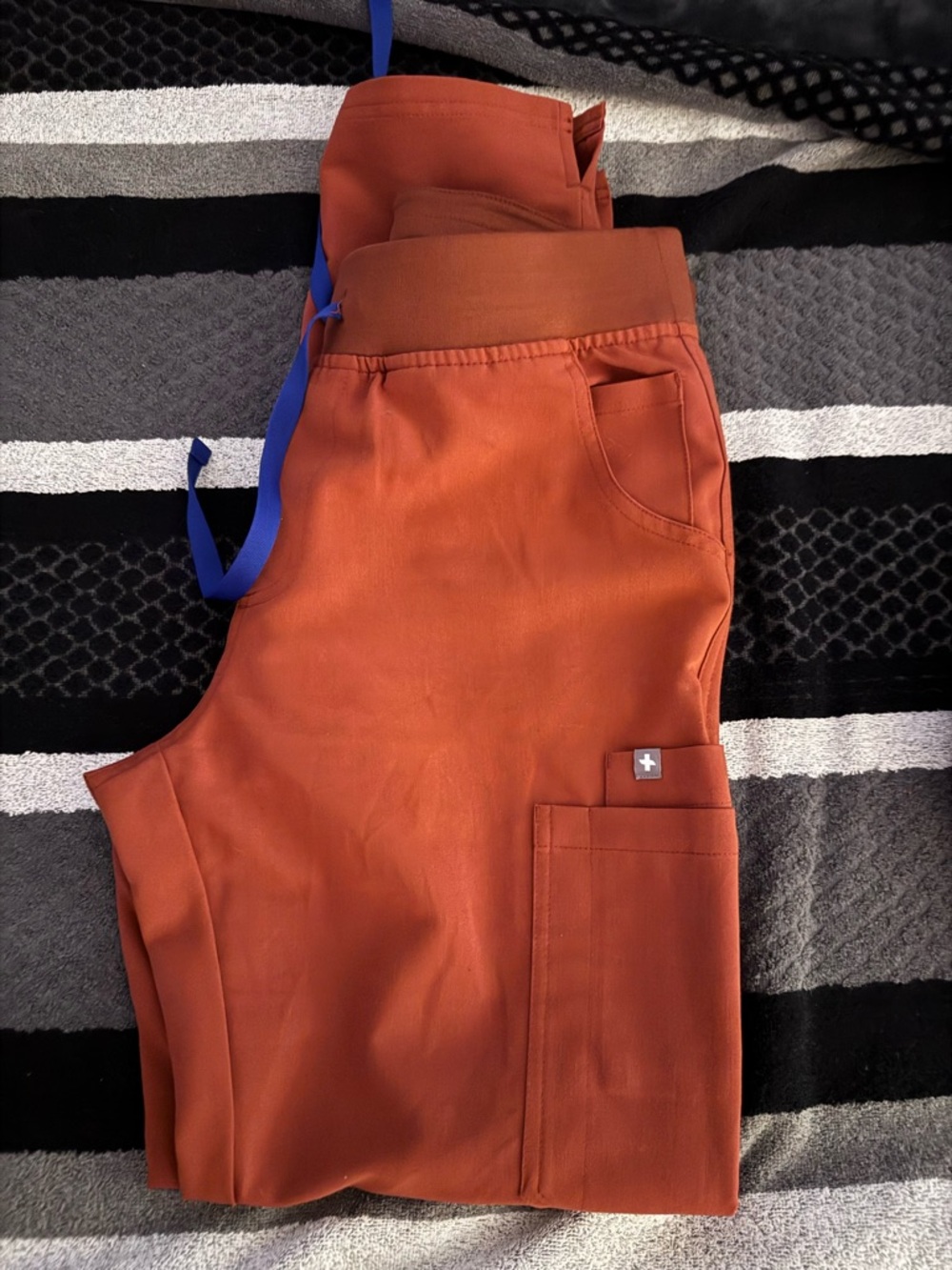 Figs Women's Yola Cargo Scrub Pants in Auburn